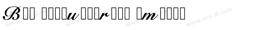 BPG Chveulebrivi Um字体转换